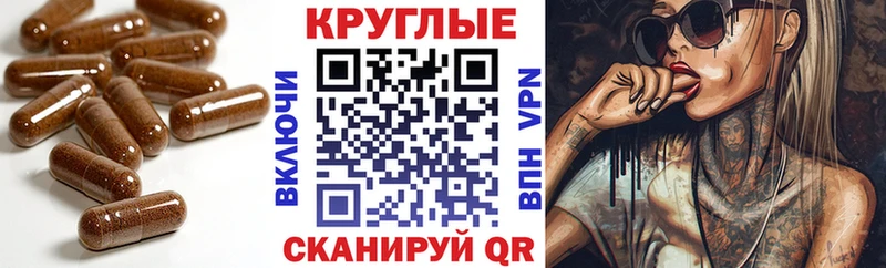 дарнет шоп  Зарайск  ЭКСТАЗИ Philipp Plein 