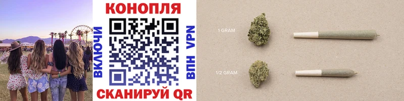 Каннабис ГИДРОПОН Зарайск